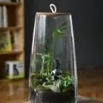 5 Ide Daur Ulang Inspiratif Dari Botol Bekas